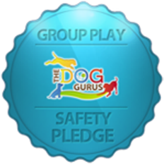 Group-play-safety-pledge_a