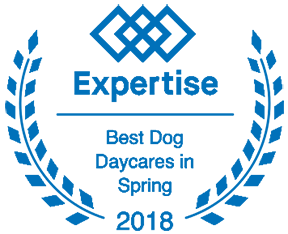 tx_spring_dog-daycares_2018-blue_a